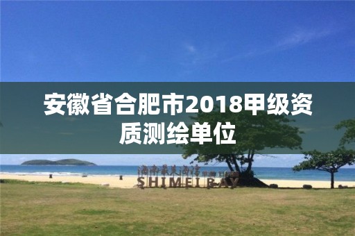 安徽省合肥市2018甲级资质测绘单位