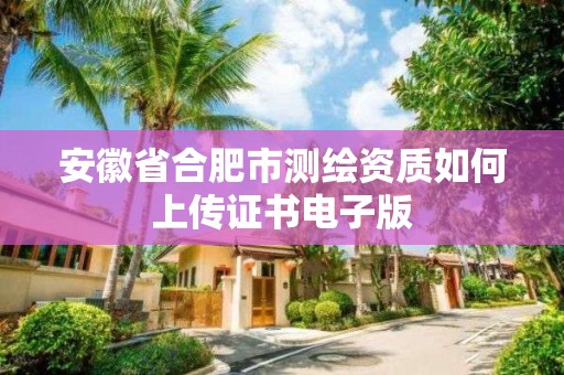 安徽省合肥市测绘资质如何上传证书电子版