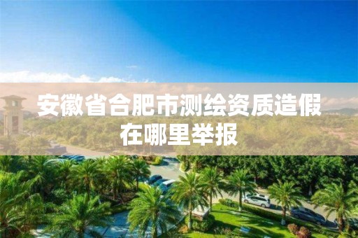 安徽省合肥市测绘资质造假在哪里举报