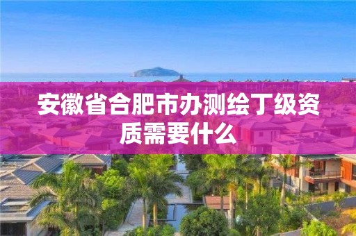 安徽省合肥市办测绘丁级资质需要什么