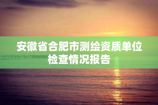 安徽省合肥市测绘资质单位检查情况报告