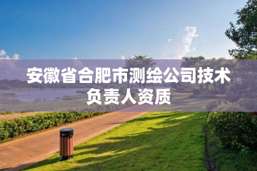 安徽省合肥市测绘公司技术负责人资质