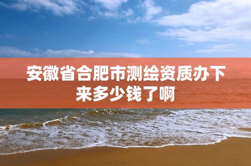 安徽省合肥市测绘资质办下来多少钱了啊