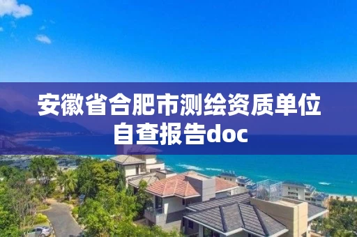 安徽省合肥市测绘资质单位自查报告doc 安徽省合肥市测绘资质单位自查报告doc