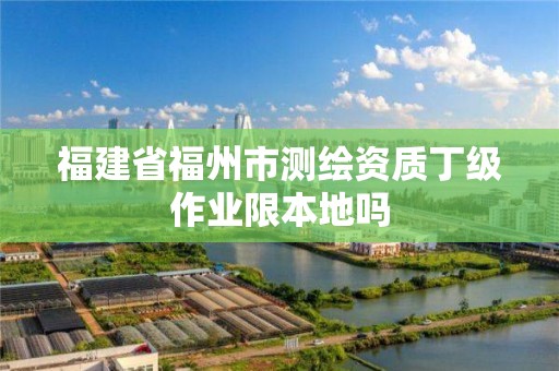 福建省福州市测绘资质丁级作业限本地吗