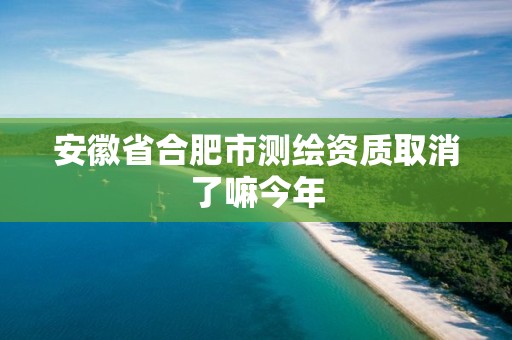 安徽省合肥市测绘资质取消了嘛今年