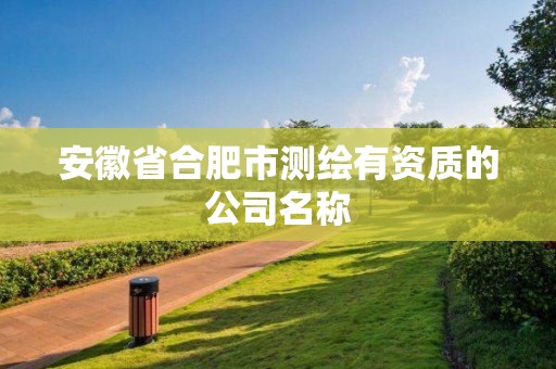 安徽省合肥市测绘有资质的公司名称