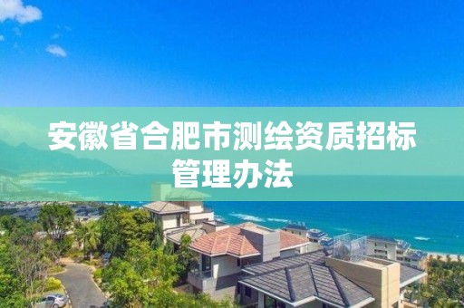 安徽省合肥市测绘资质招标管理办法