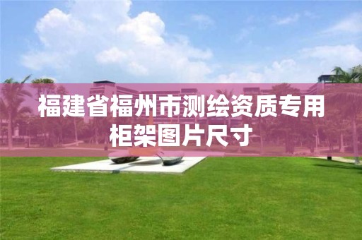 福建省福州市测绘资质专用柜架图片尺寸