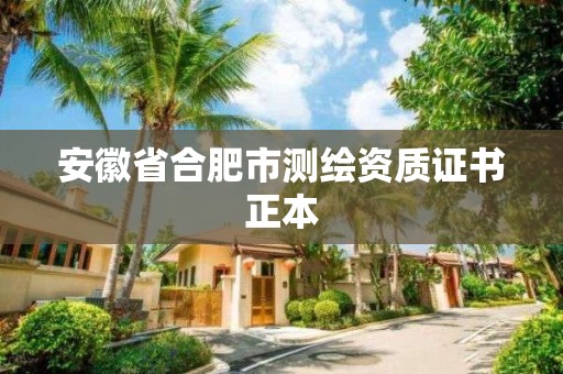 安徽省合肥市测绘资质证书正本