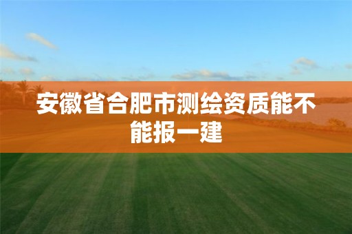 安徽省合肥市测绘资质能不能报一建