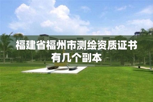 福建省福州市测绘资质证书有几个副本