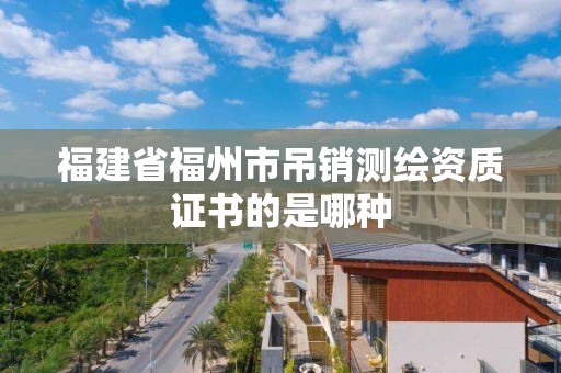 福建省福州市吊销测绘资质证书的是哪种