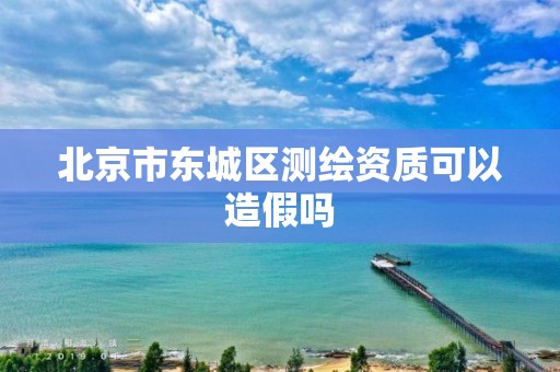 北京市东城区测绘资质可以造假吗