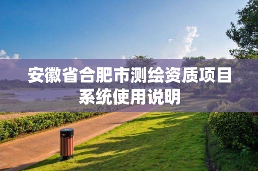 安徽省合肥市测绘资质项目系统使用说明