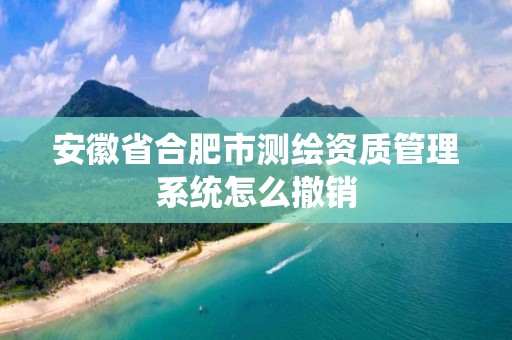 安徽省合肥市测绘资质管理系统怎么撤销