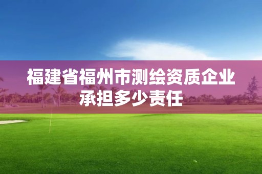 福建省福州市测绘资质企业承担多少责任