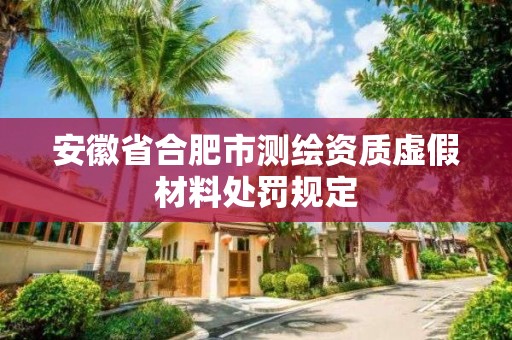 安徽省合肥市测绘资质虚假材料处罚规定