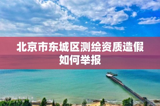 北京市东城区测绘资质造假如何举报