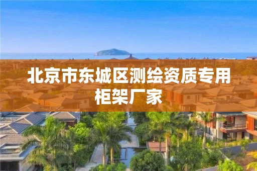 北京市东城区测绘资质专用柜架厂家 北京市东城区测绘资质专用柜架厂家