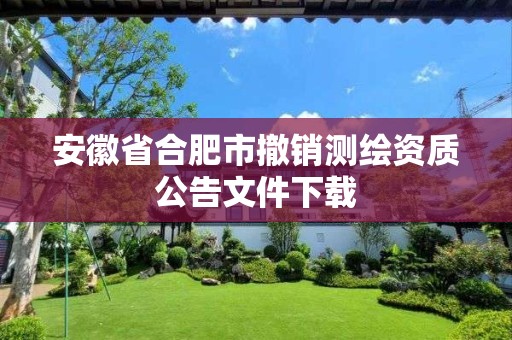 安徽省合肥市撤销测绘资质公告文件下载