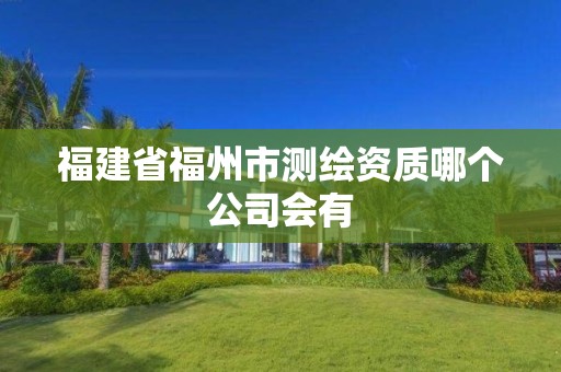 福建省福州市测绘资质哪个公司会有