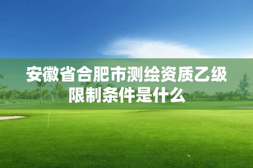 安徽省合肥市测绘资质乙级限制条件是什么