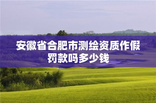 安徽省合肥市测绘资质作假罚款吗多少钱