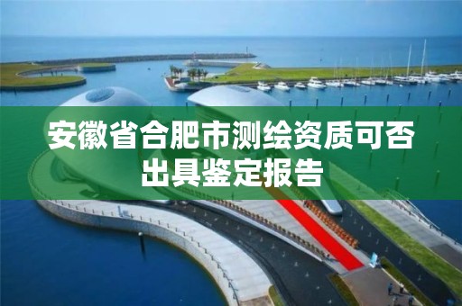 安徽省合肥市测绘资质可否出具鉴定报告