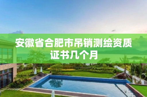 安徽省合肥市吊销测绘资质证书几个月