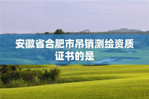 安徽省合肥市吊销测绘资质证书的是