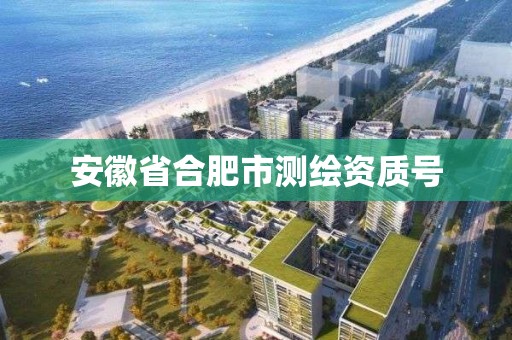 安徽省合肥市测绘资质号