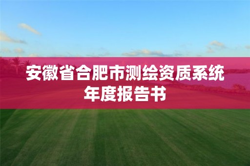 安徽省合肥市测绘资质系统年度报告书