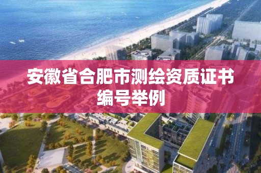 安徽省合肥市测绘资质证书编号举例