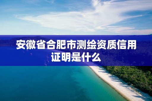 安徽省合肥市测绘资质信用证明是什么