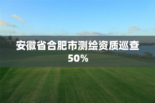 安徽省合肥市测绘资质巡查50%