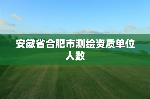 安徽省合肥市测绘资质单位人数