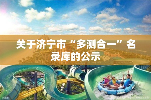 关于济宁市“多测合一”名录库的公示