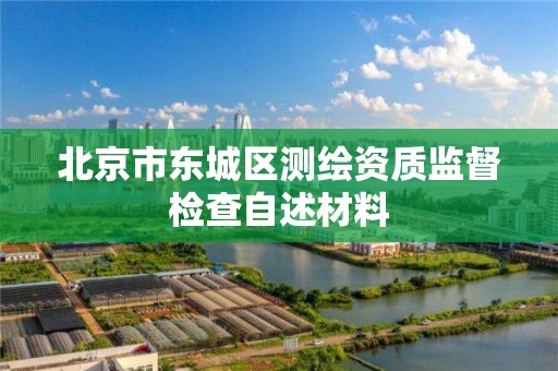 北京市东城区测绘资质监督检查自述材料