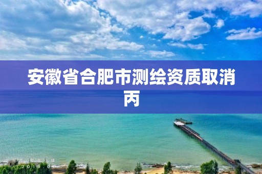 安徽省合肥市测绘资质取消丙