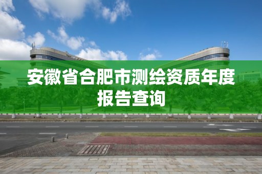 安徽省合肥市测绘资质年度报告查询