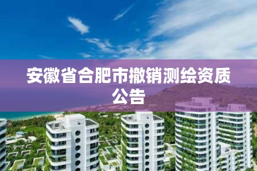 安徽省合肥市撤销测绘资质公告