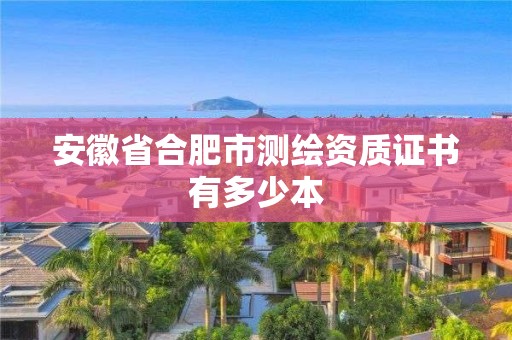 安徽省合肥市测绘资质证书有多少本