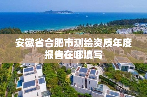 安徽省合肥市测绘资质年度报告在哪填写