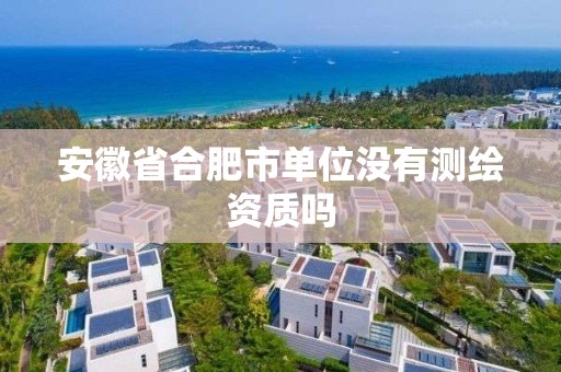 安徽省合肥市单位没有测绘资质吗