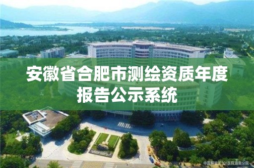 安徽省合肥市测绘资质年度报告公示系统