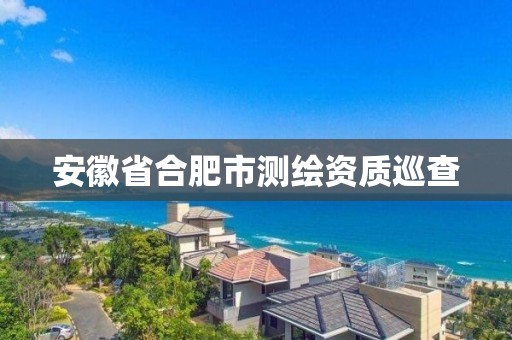 安徽省合肥市测绘资质巡查