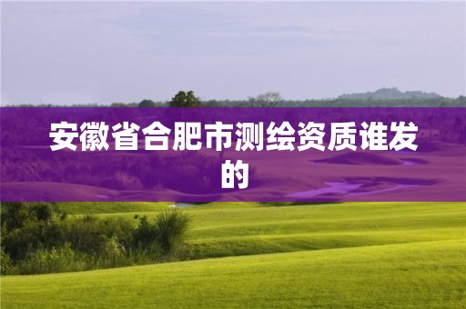 安徽省合肥市测绘资质谁发的