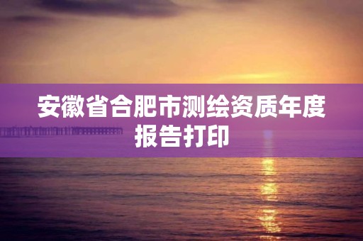 安徽省合肥市测绘资质年度报告打印