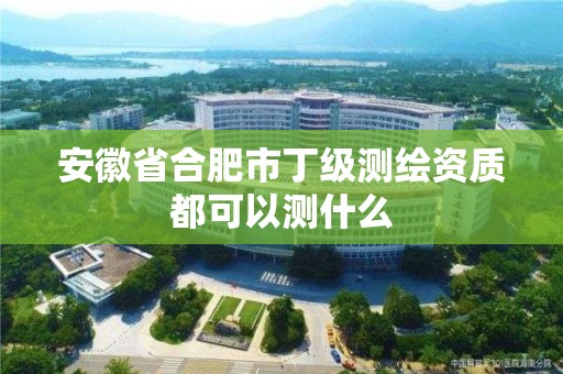 安徽省合肥市丁级测绘资质都可以测什么